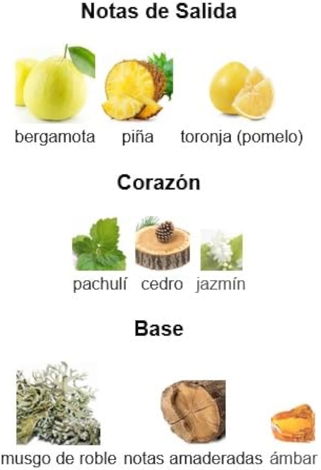 Perfume Rasasi Hawas for Him 100ml Original Importado - Fragrância Masculina Premium Árabe Eau de Parfum